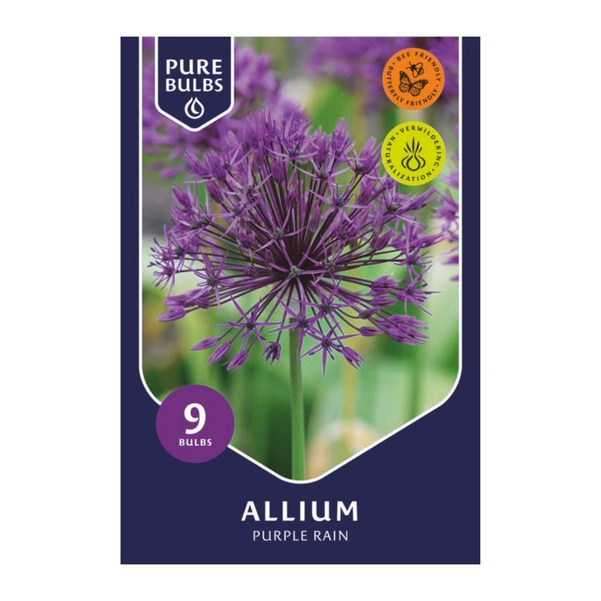 Pure Bulbs Bloembollen Sierui (Allium 'Purple Rain') 9 stuks