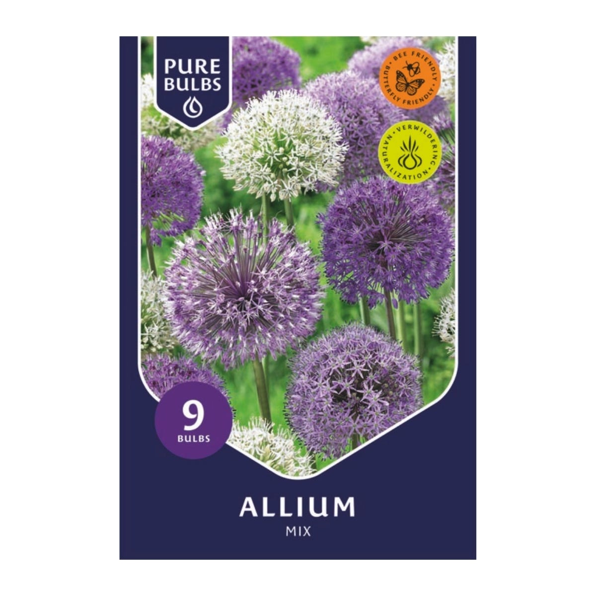Pure Bulbs Bloembollen Sierui (Allium 'Mix') 9 stuks