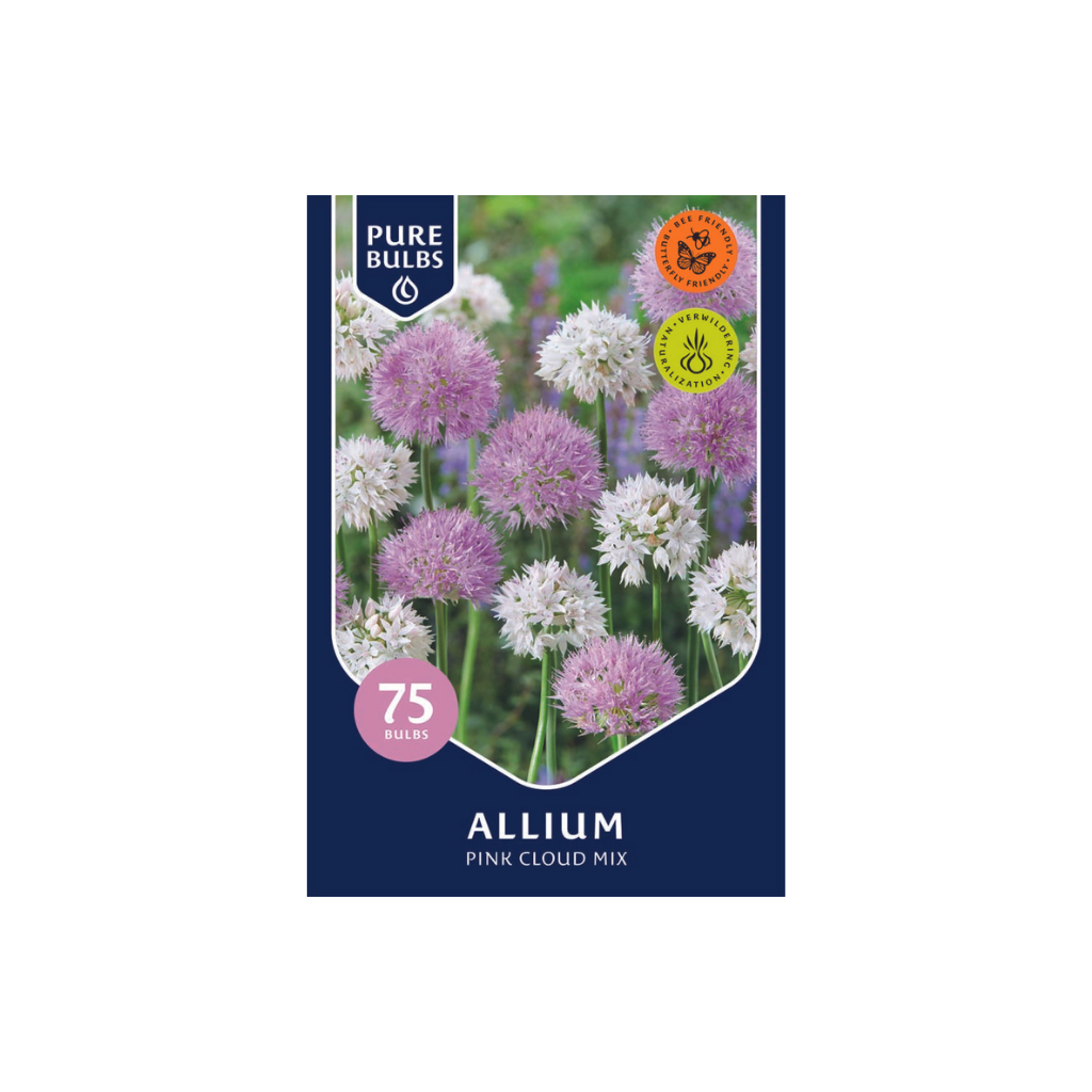 Pure Bulbs Allium Pink Cloud Mix 75 bollen