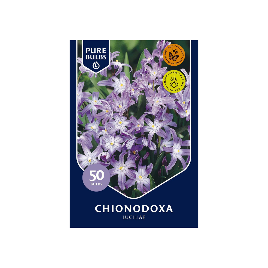 Pure Bulbs Chionodoxa Luciliae 50 bollen 50