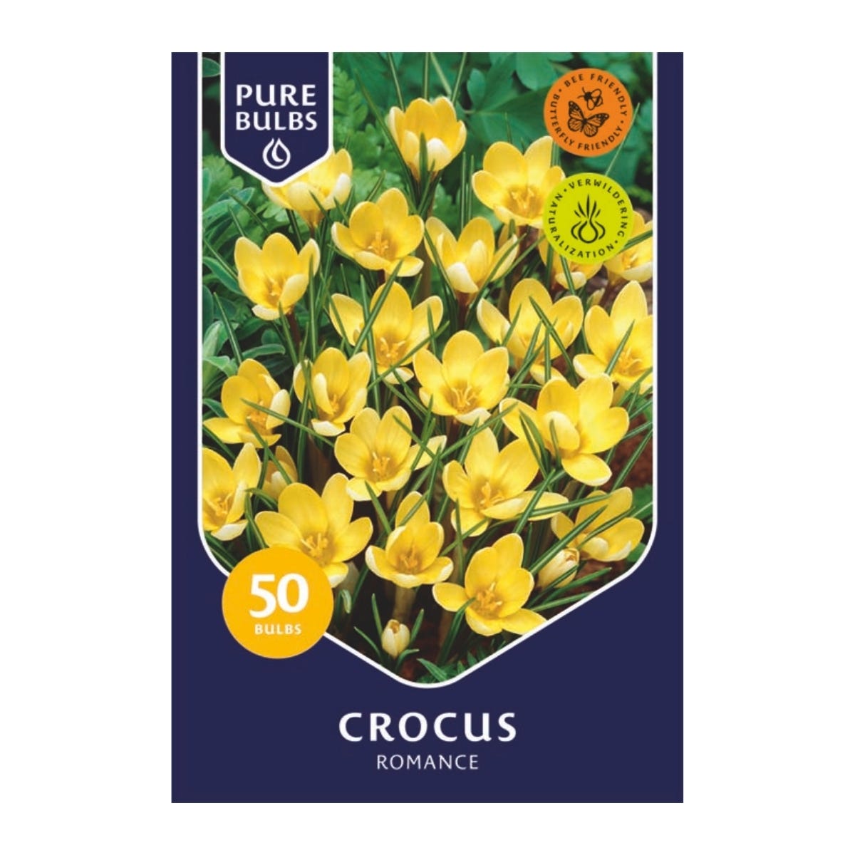Pure Bulbs Bloembollen Krokus (Crocus 'Romance') 50 stuks