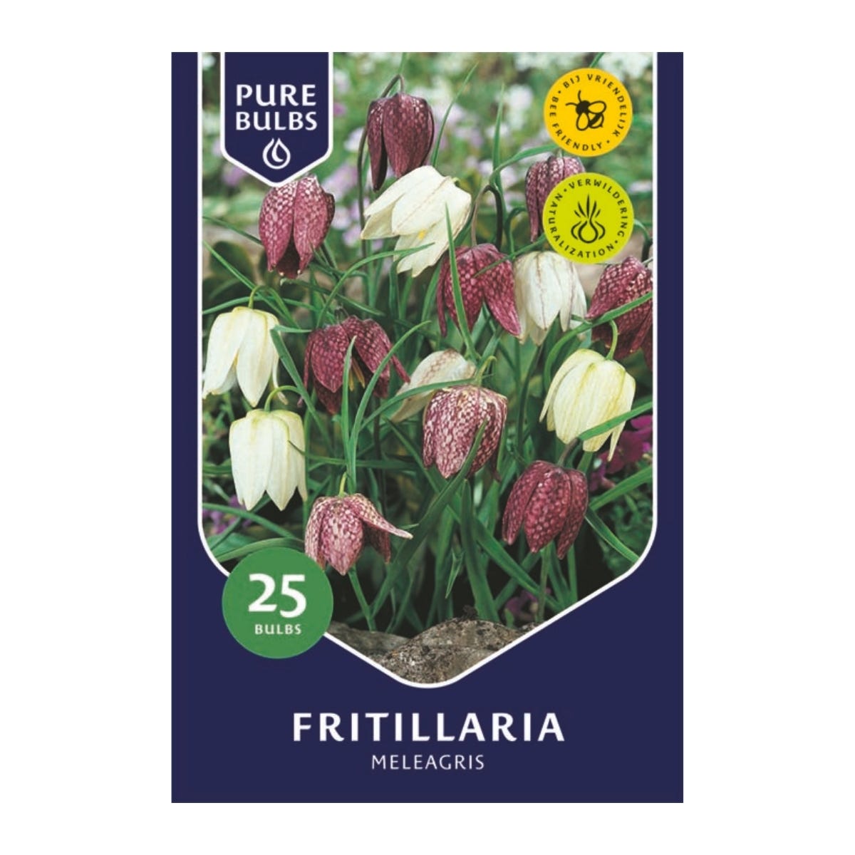 Pure Bulbs Bloembollen Kivietsbloem (Fritillaria 'Meleagris') 25 stuks