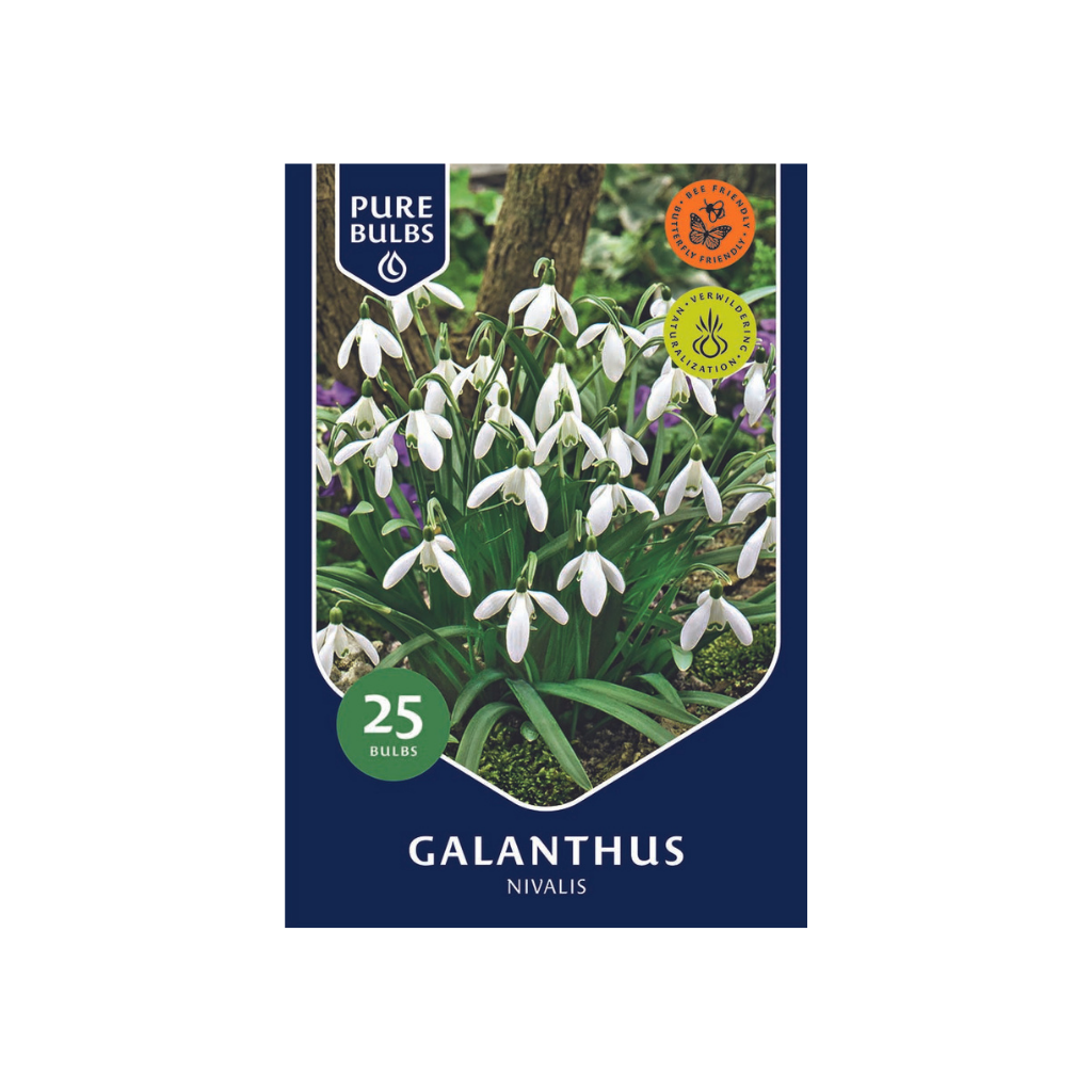 Pure Bulbs Galanthus Nivalis 25 bollen