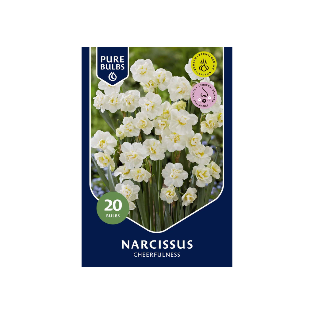 Pure Bulbs Narcissus Cheerfulness 20 bollen