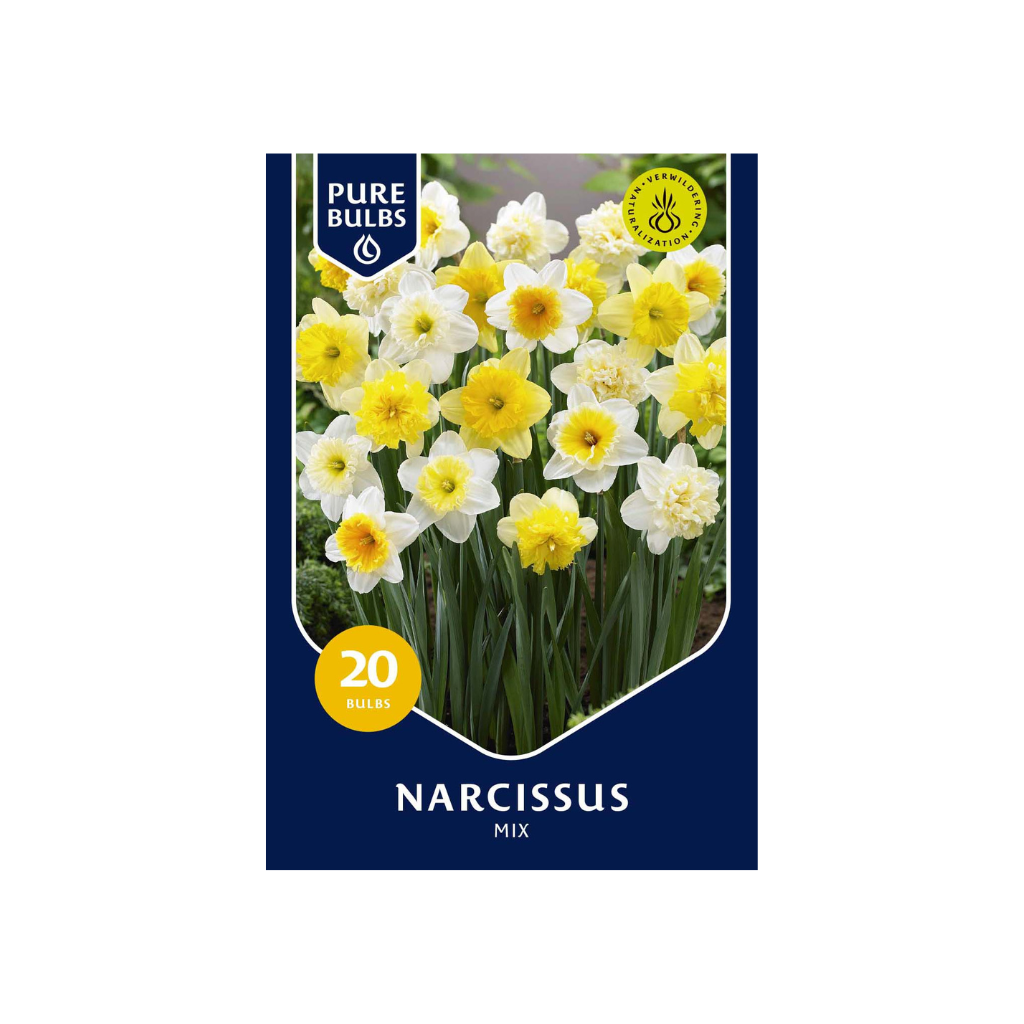 Pure Bulbs Narcissus Mix 20 bollen