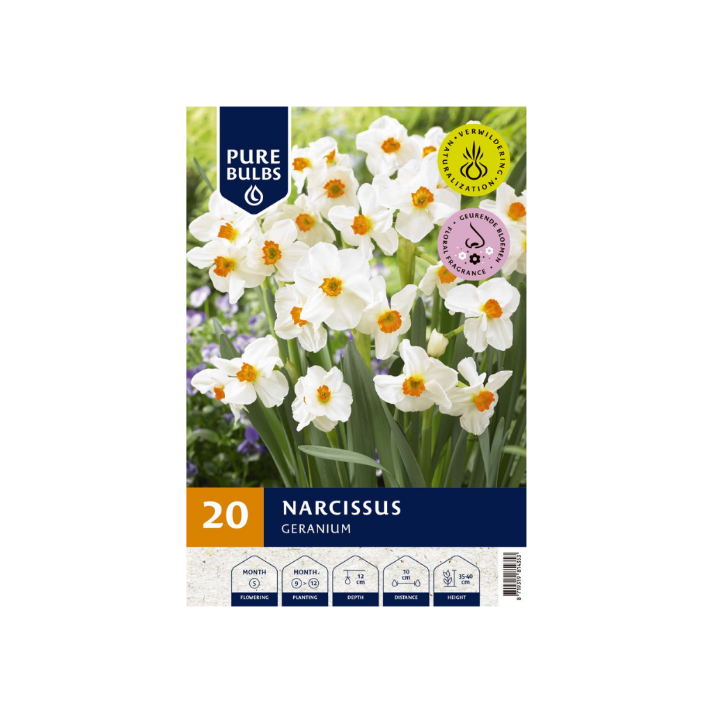 Pure Bulbs Narcissus Geranium 20 bollen