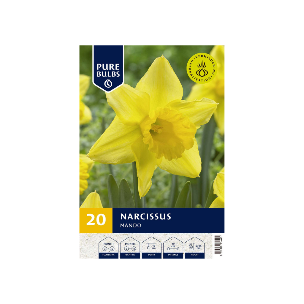 Pure Bulbs Narcissus Trumpet Yellow 20 bollen