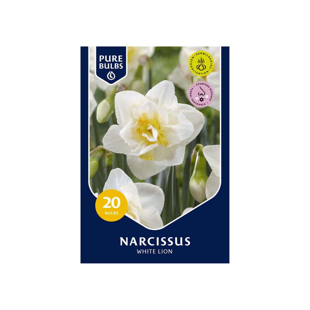 Pure Bulbs Narcissus White Lion 20 bollen