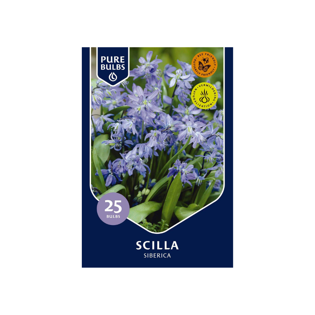 Pure Bulbs Scilla Siberica 25 bollen