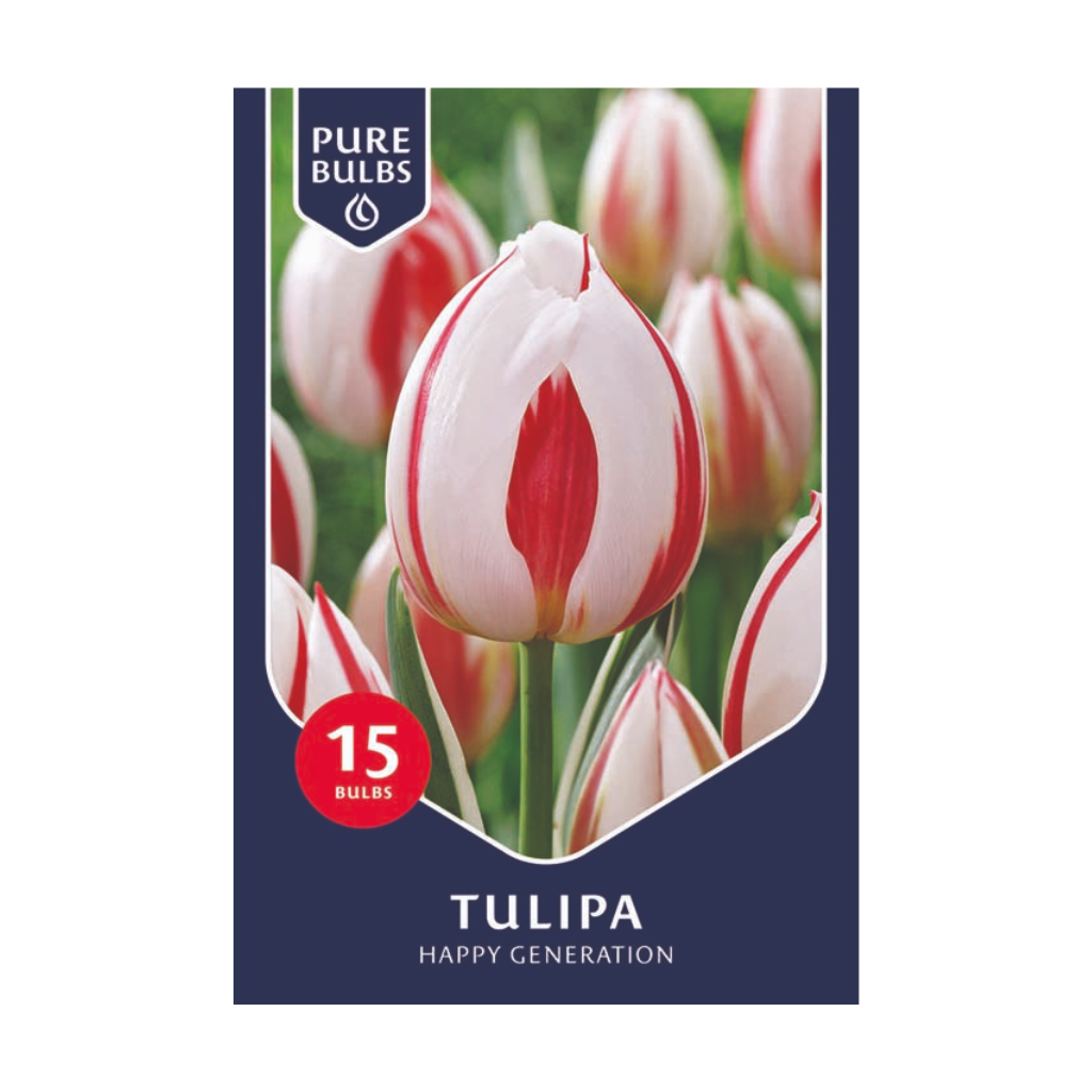 Pure Bulbs Happy Generaction 15 bollen