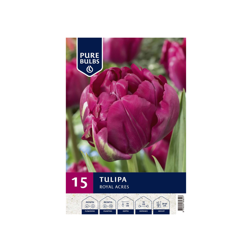 Pure Bulbs Tulipa Royal Acres 12 bollen