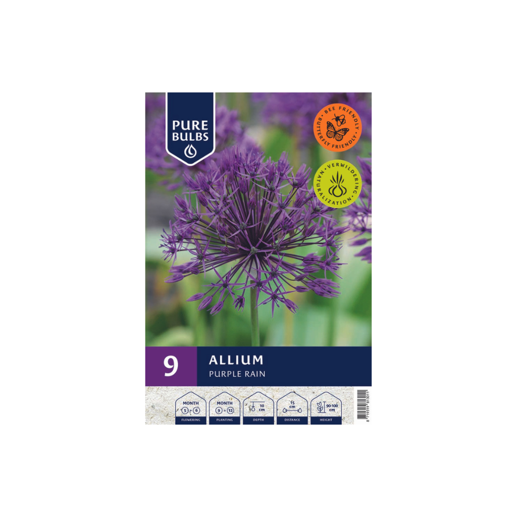 Pure Bulbs Allium Purple Rain 9 bollen