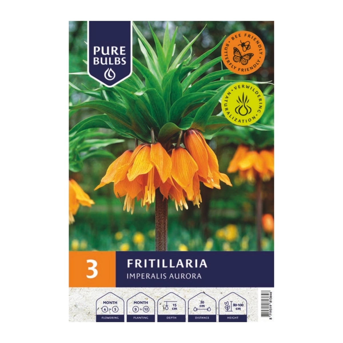 Pure Bulbs Bloembollen Kivietsbloem (Fritillaria 'Imperalis Aurora') 3 stuks