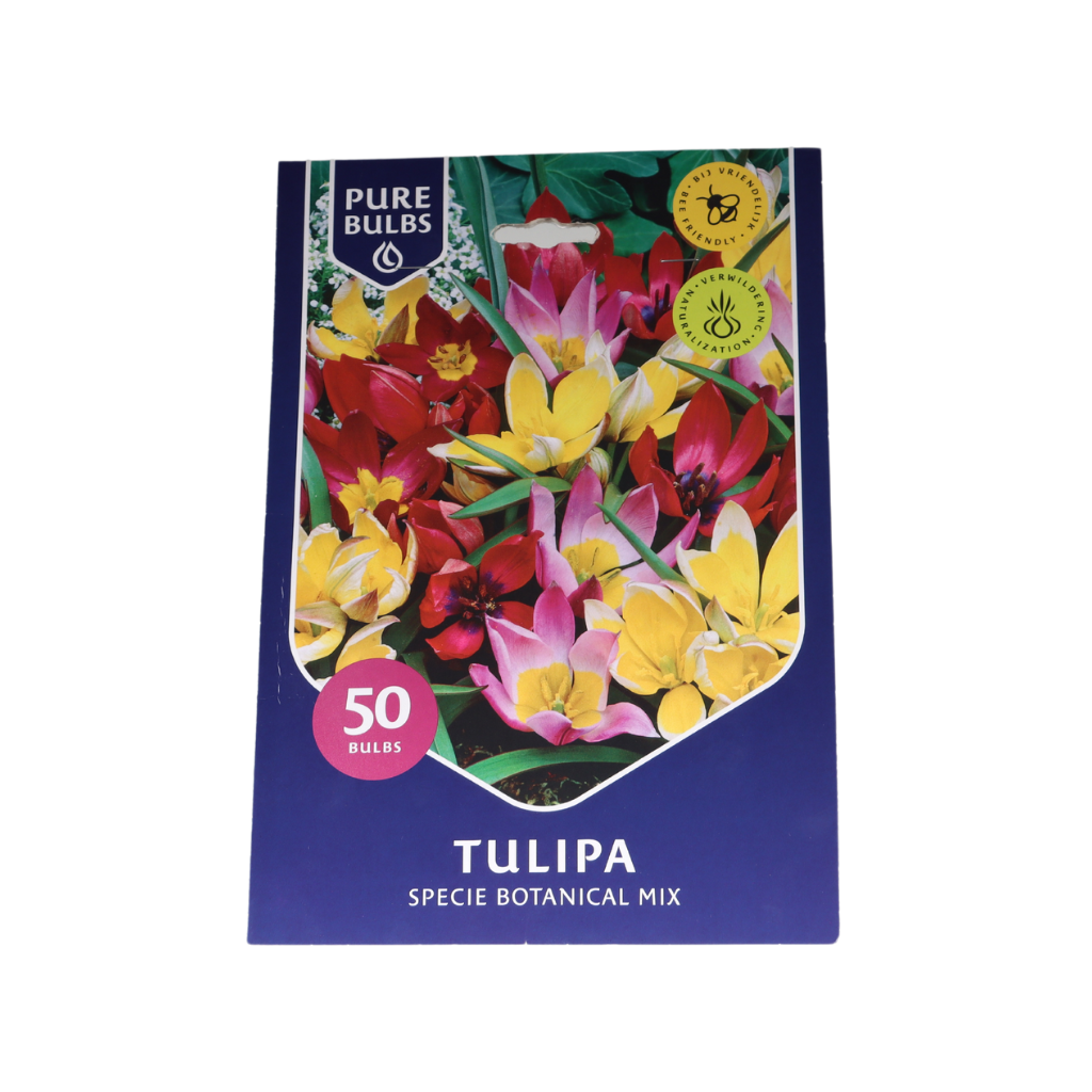 Pure Bulbs Tulipa Mix 50 bollen