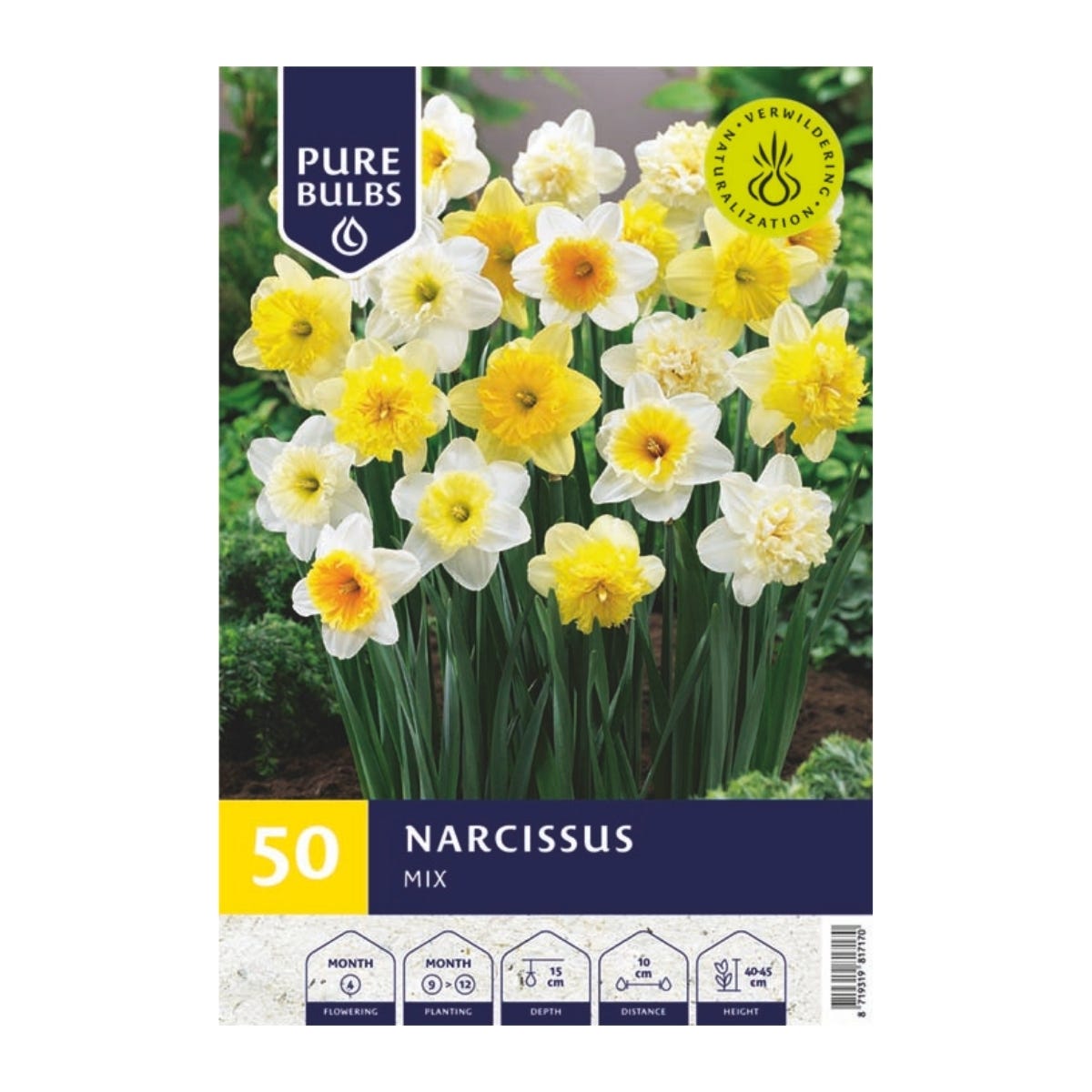 Pure Bulbs Bloembollen Narcis (Narcissus 'Mix') 50 stuks