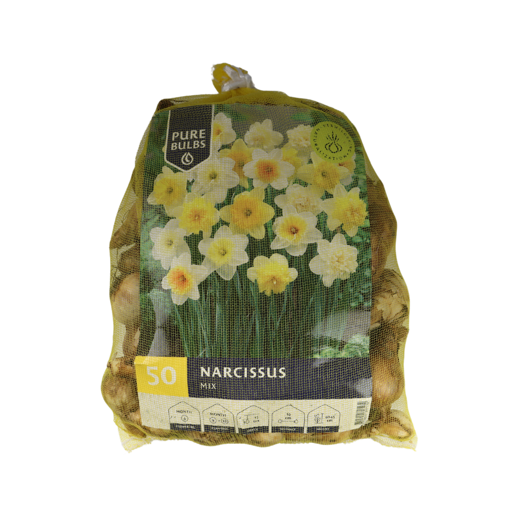Pure Bulbs Bloembollen Narcis (Narcissus 'Mix') 50 stuks