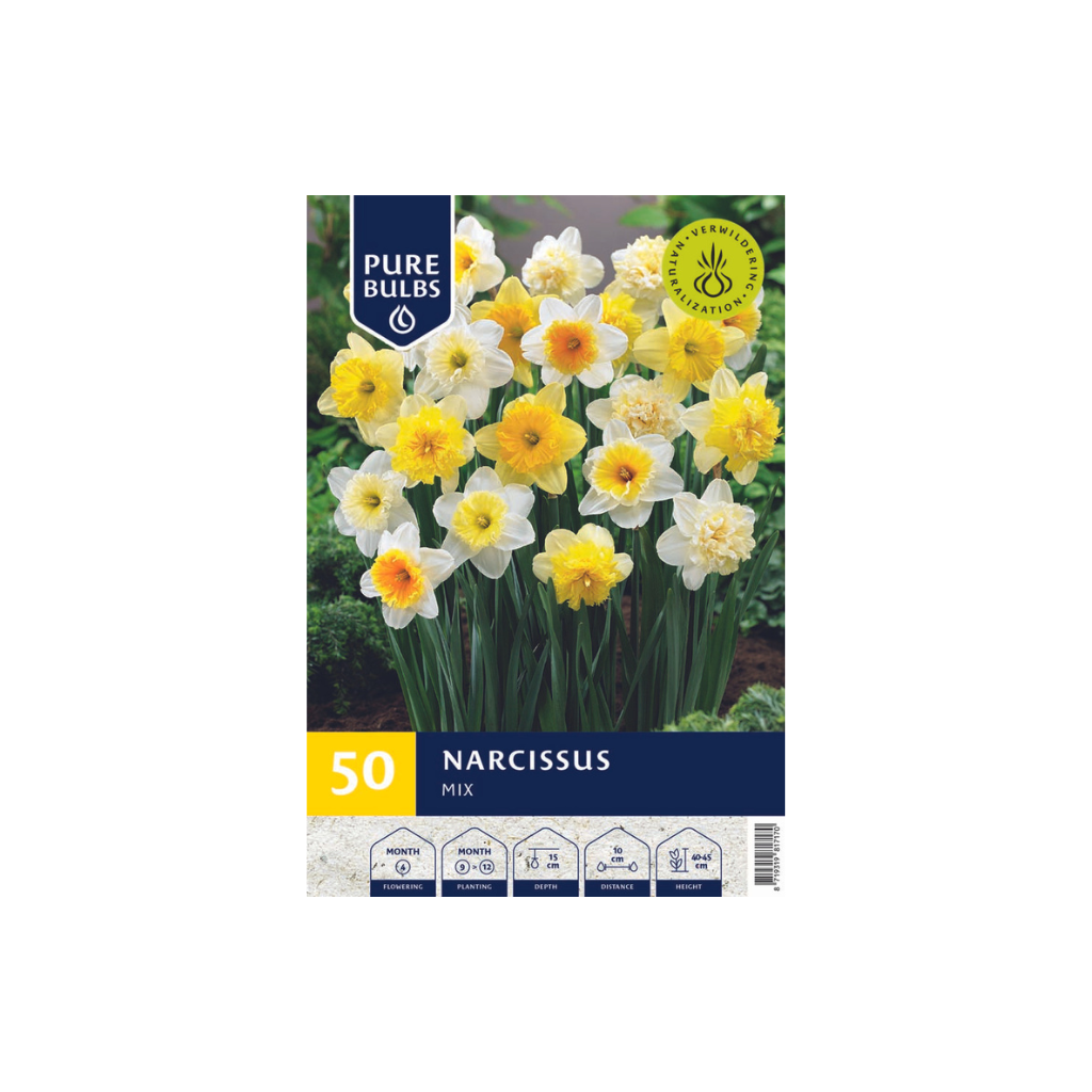 Pure Bulbs Narcissus Mix 50 bollen