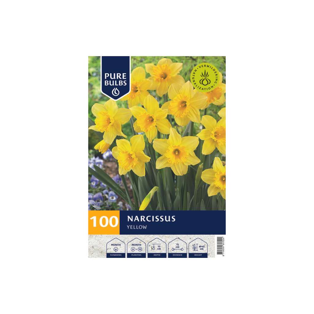 Pure Bulbs Narcissus Yellow 100 bollen