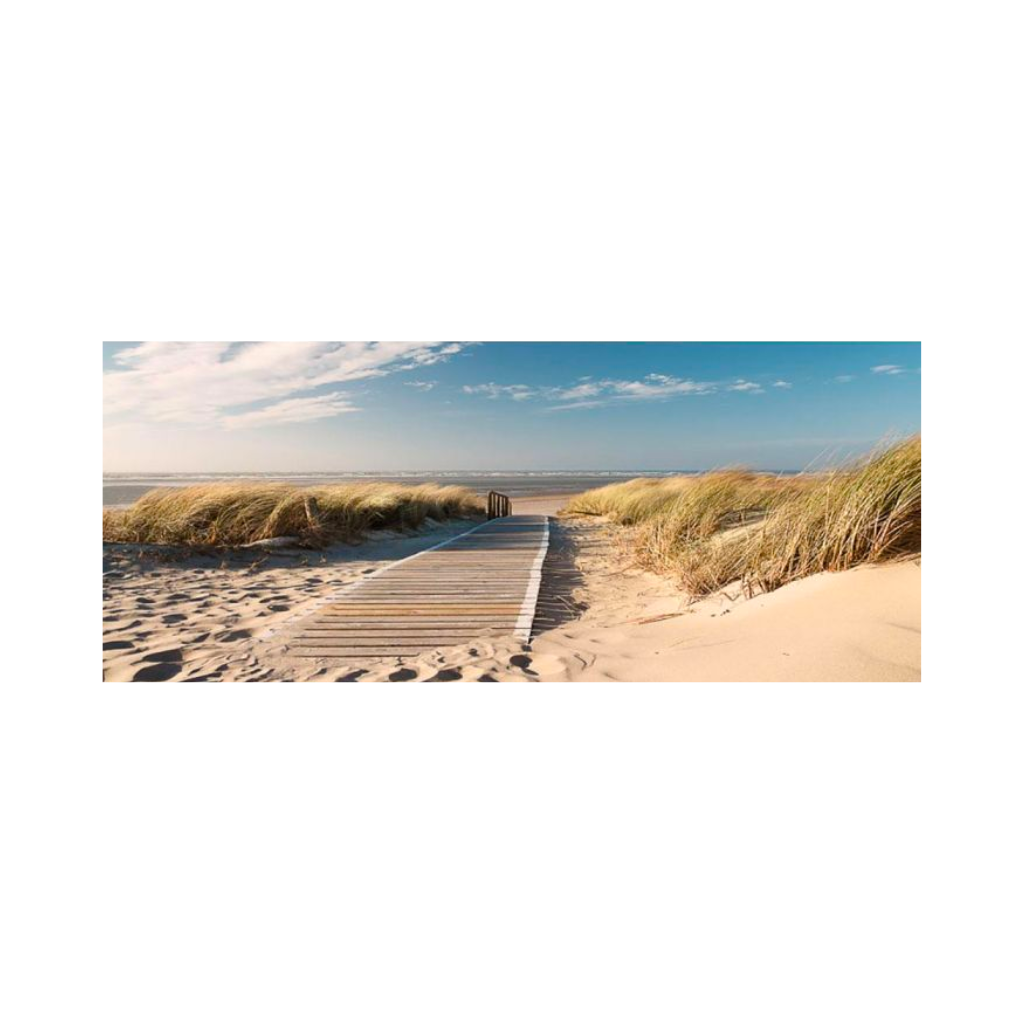 Tuinposter Houtenpad in Duin 110 x 45 cm