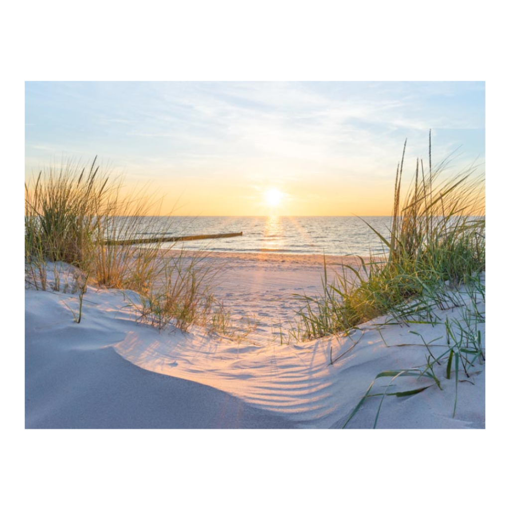 Tuinposter Helmgras Ondergaande Zon 80 x 60 cm