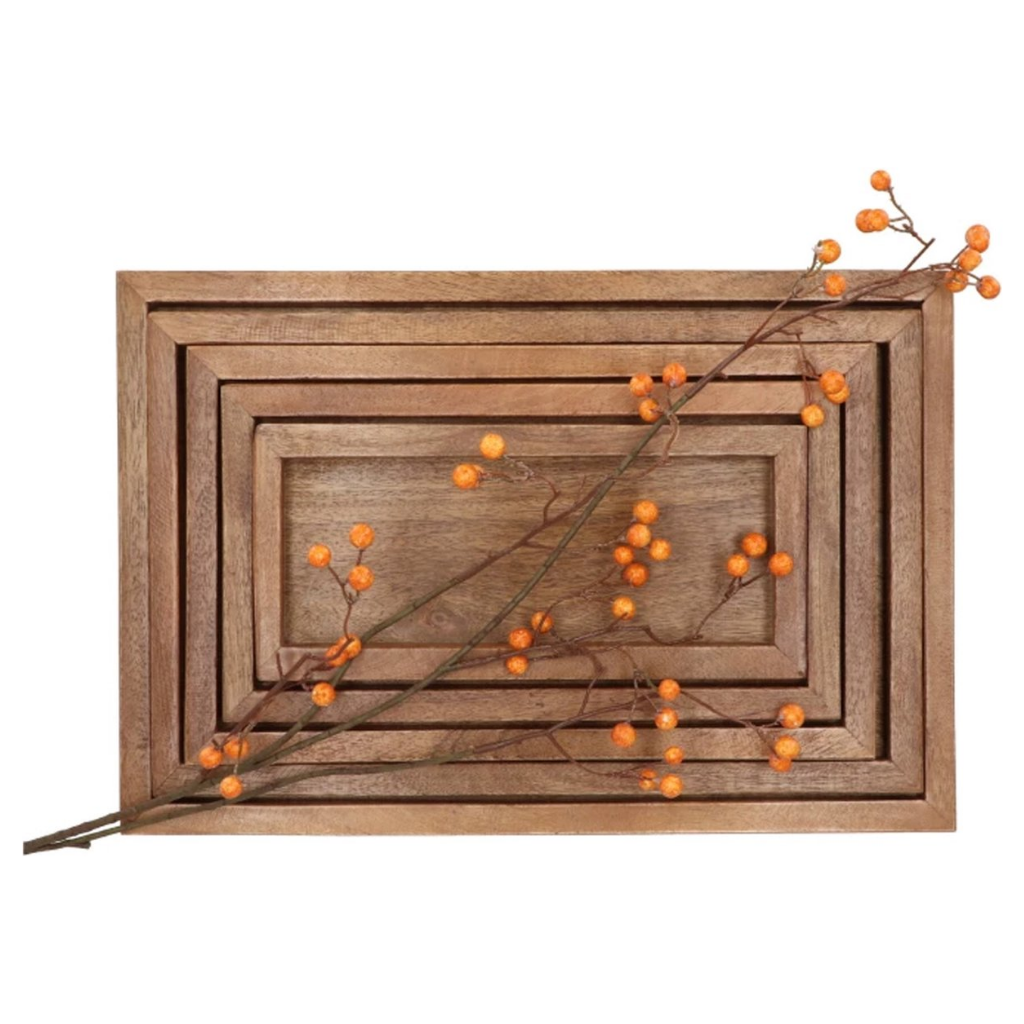 Mumbai dienblad mangohout 41 x 27 x 3 cm