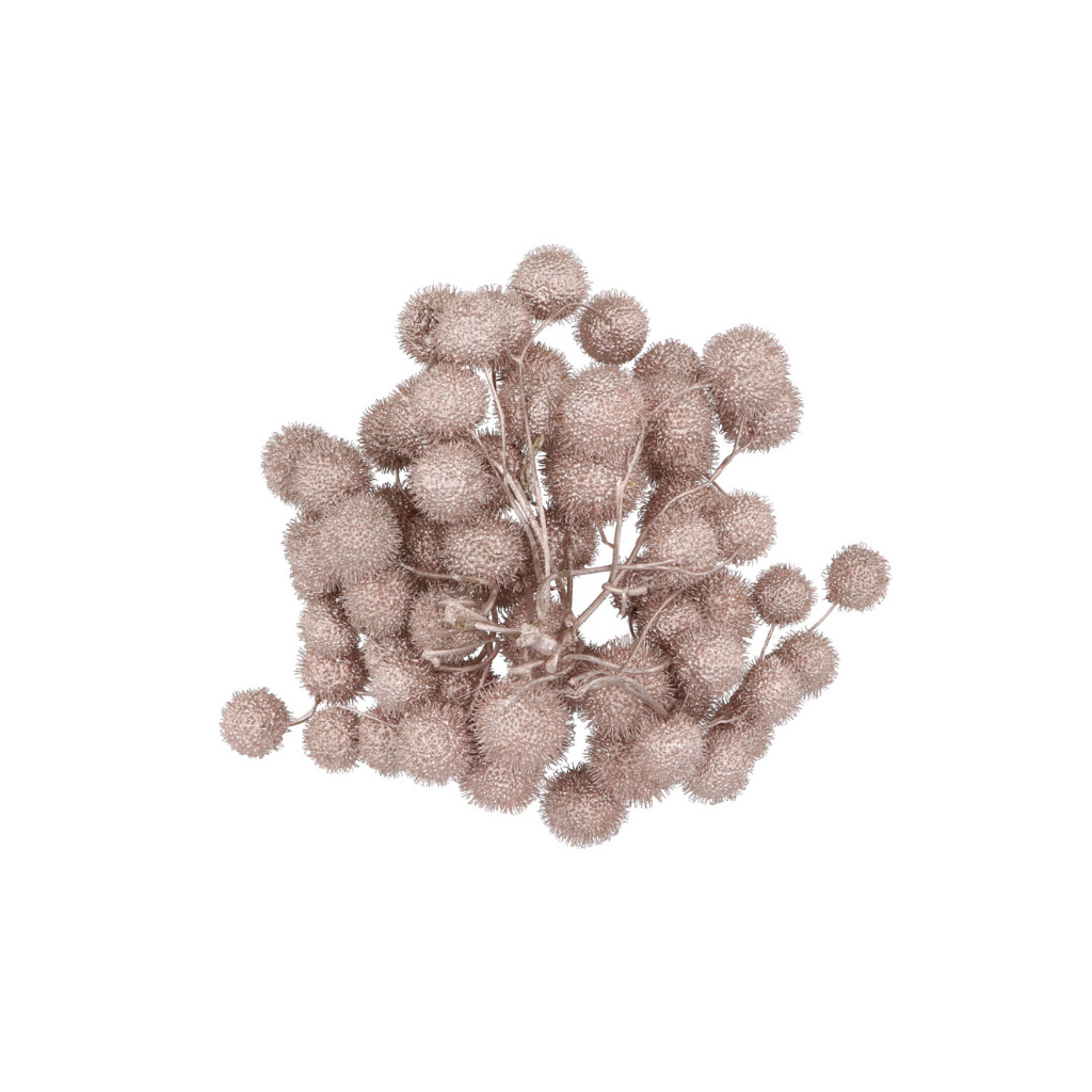 Dry Platane Champagne