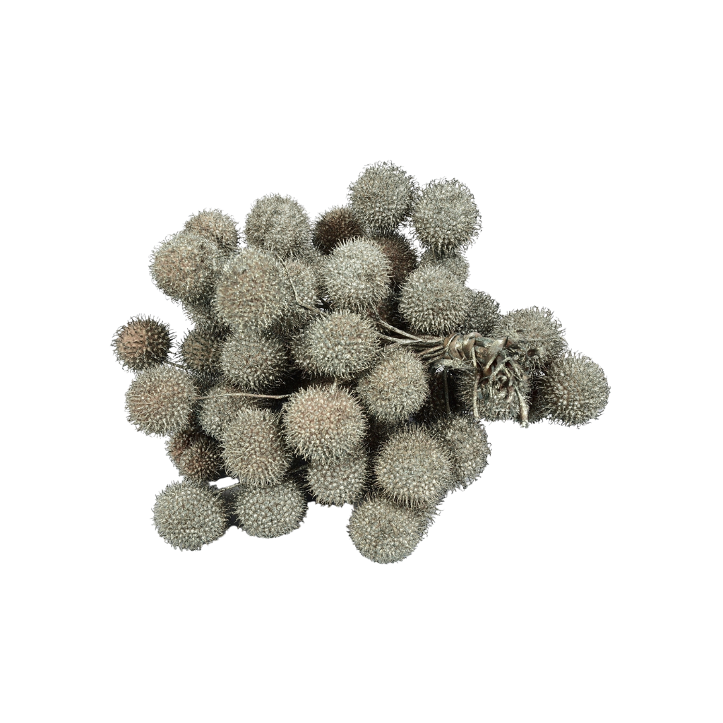 Dry Platane Moonlight Green