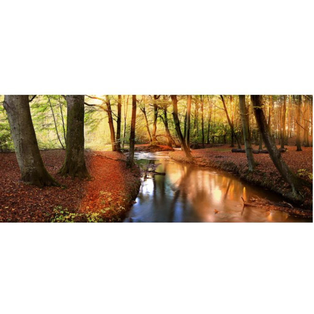 Tuinposter x L Lentebos 110 x 45 cm