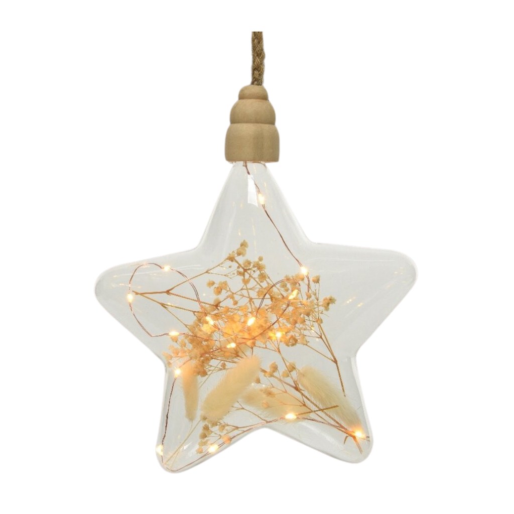 Micro LED ster touw klassiek warm 20 cm