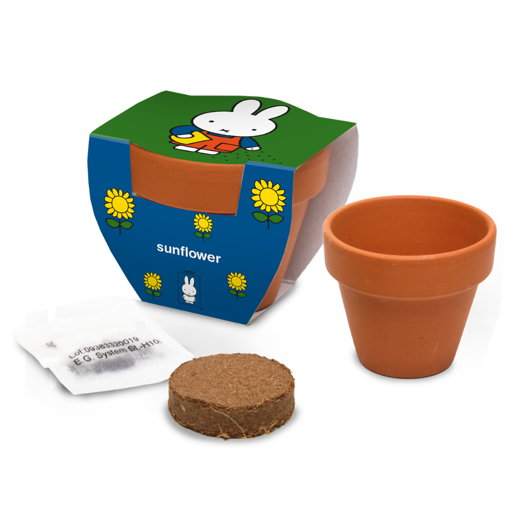 Nijntje Terracota Pot Zonnebloem 5.5 x 5 cm