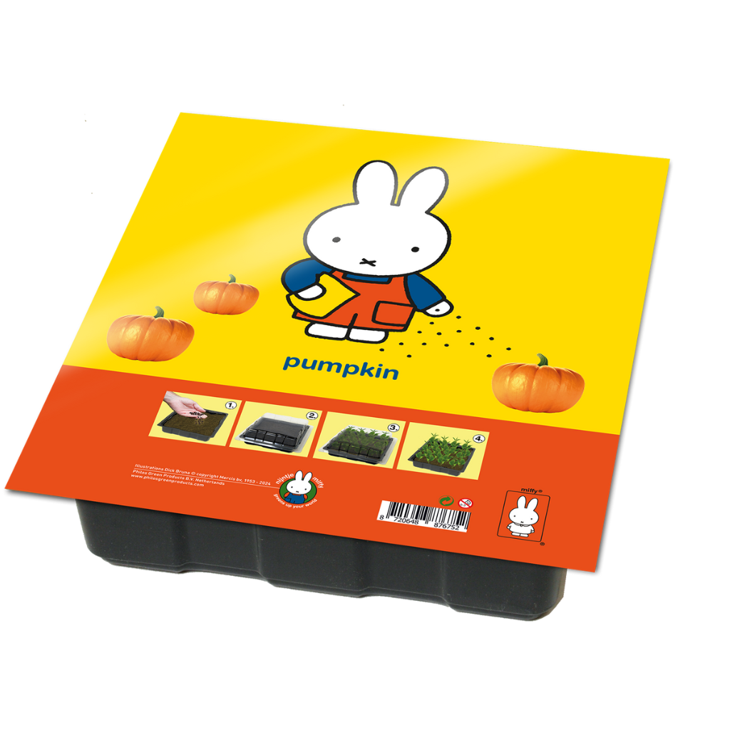 Nijntje Kweekset Pompoen 20 x 17.5 x 4 cm