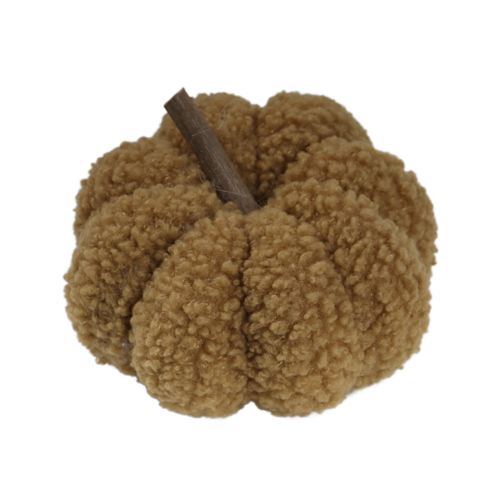 Pompoen Teddy Beige 9 x 12