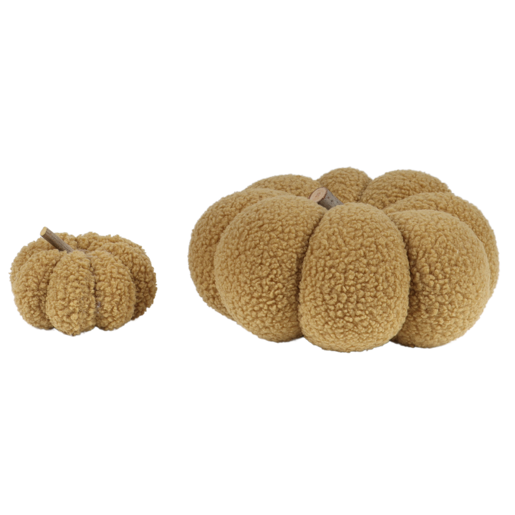 Pompoen Teddy Beige 9 x 12