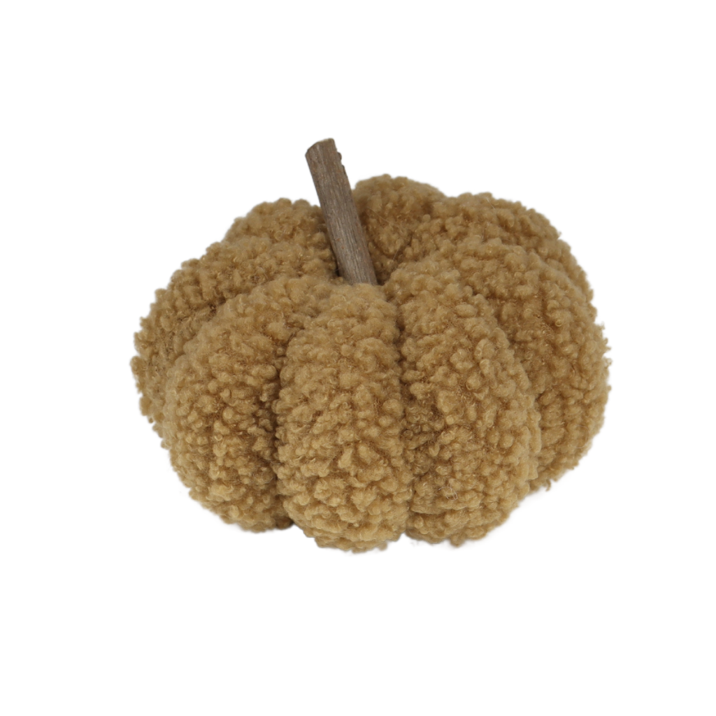 Pompoen Teddy Beige 9 x 12