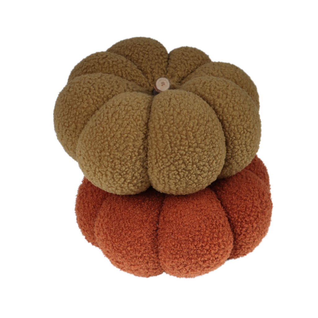 Pompoen Teddy Bruin 15 x 25