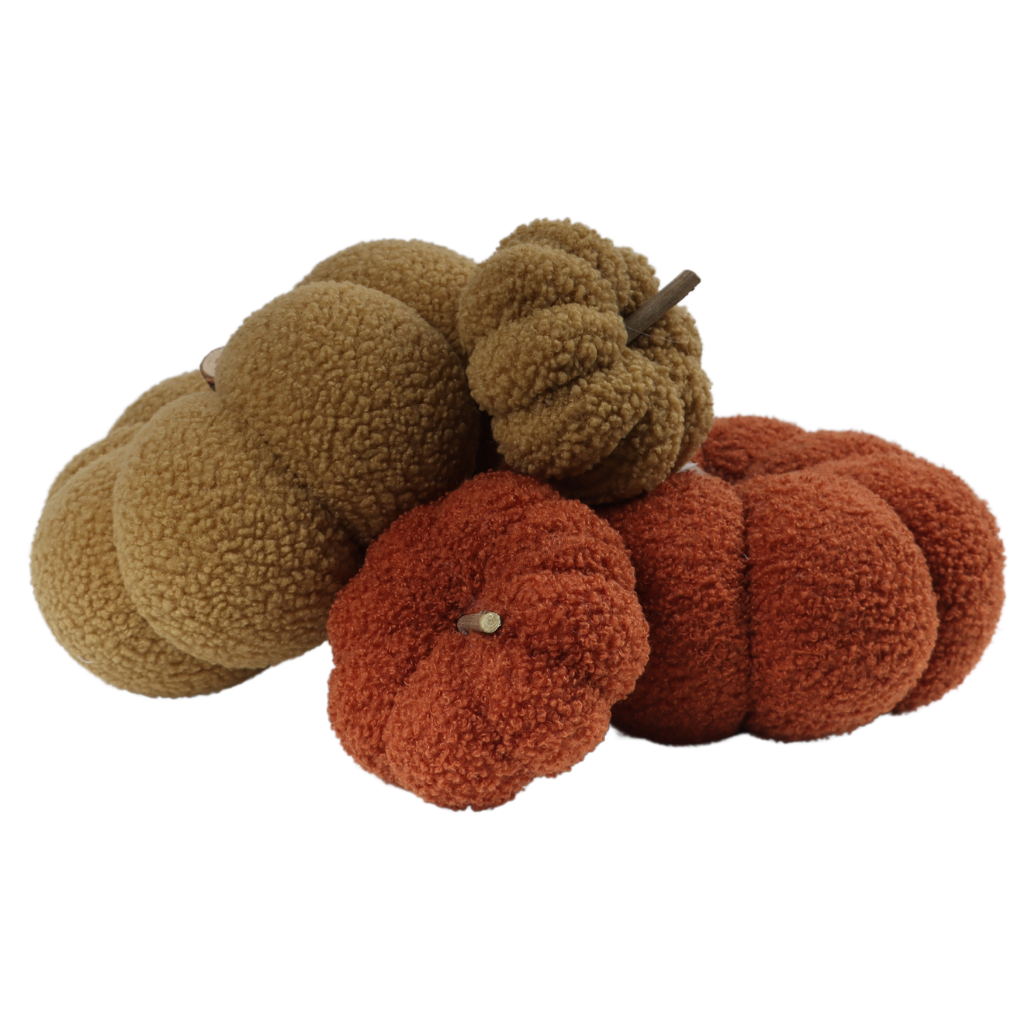Pompoen Teddy Beige 9 x 12