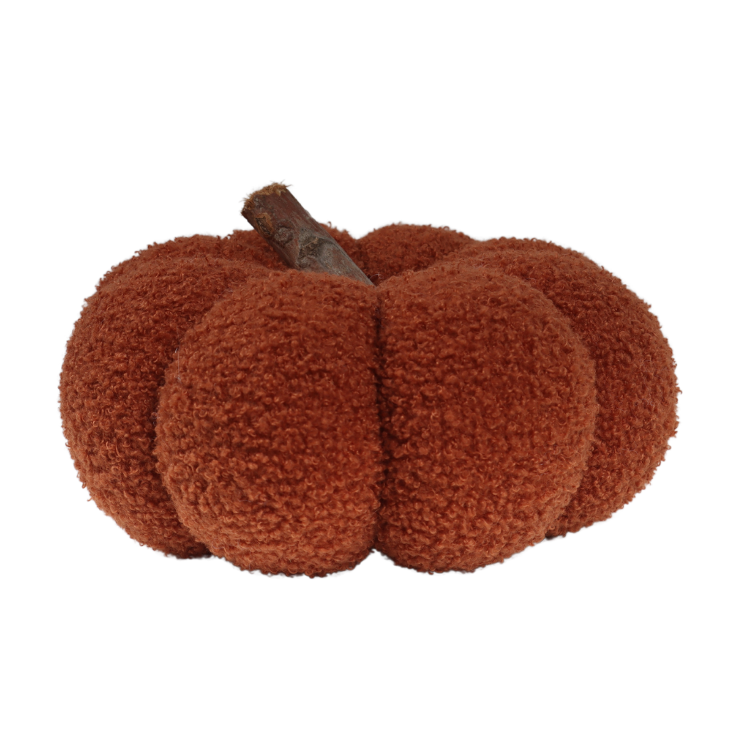 Pompoen Teddy Bruin 15 x 25