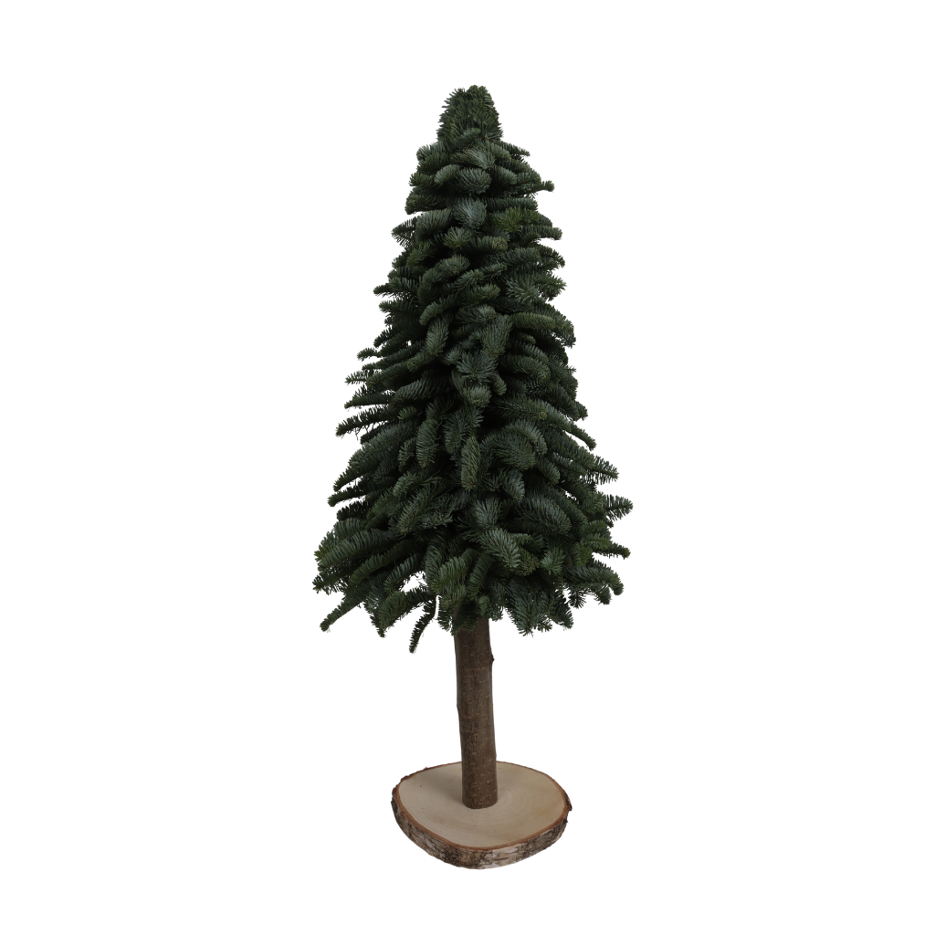 Nobilis Tree op stam 30 cm