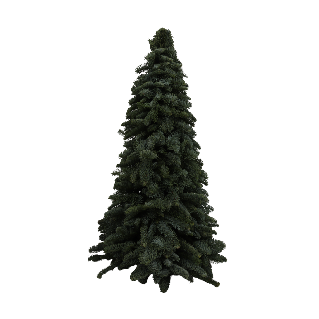 Nobilis Tree Up 100 cm