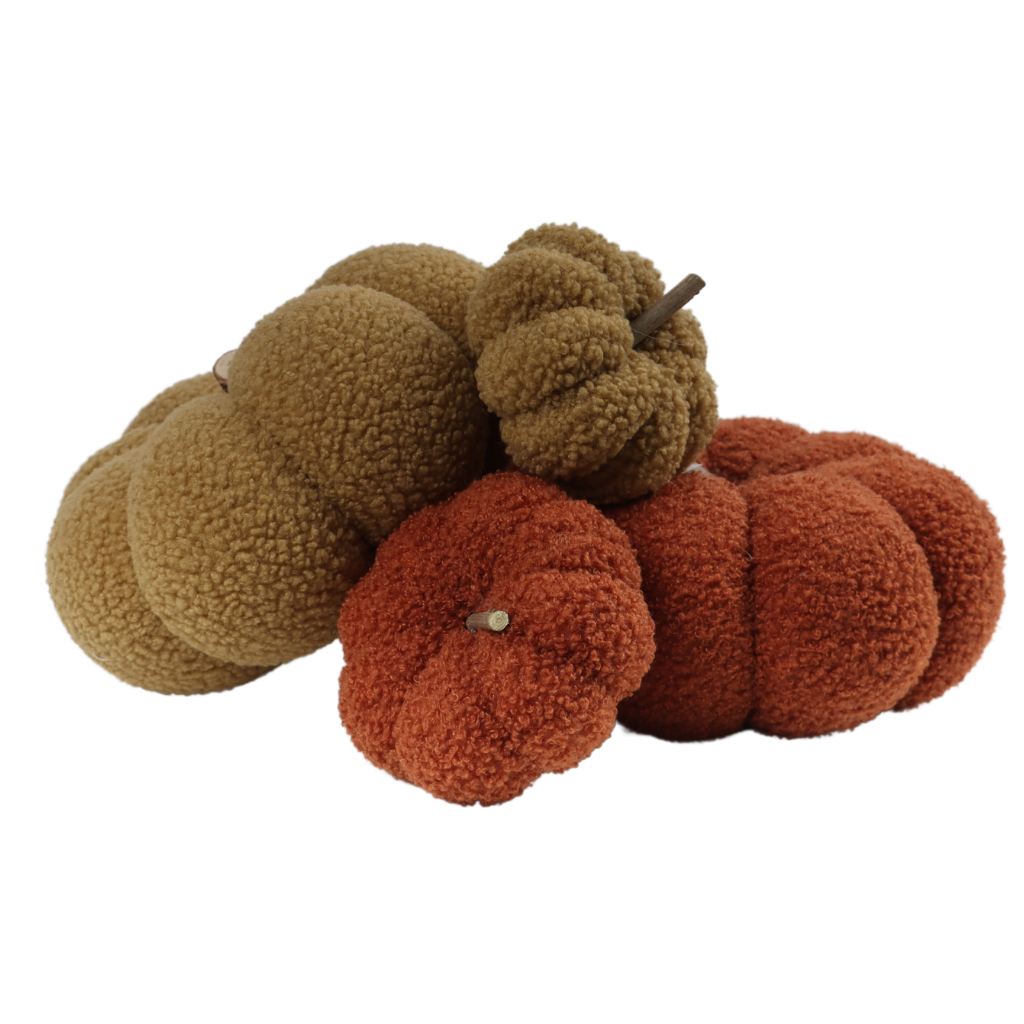 Pompoen Teddy Bruin 15 x 25
