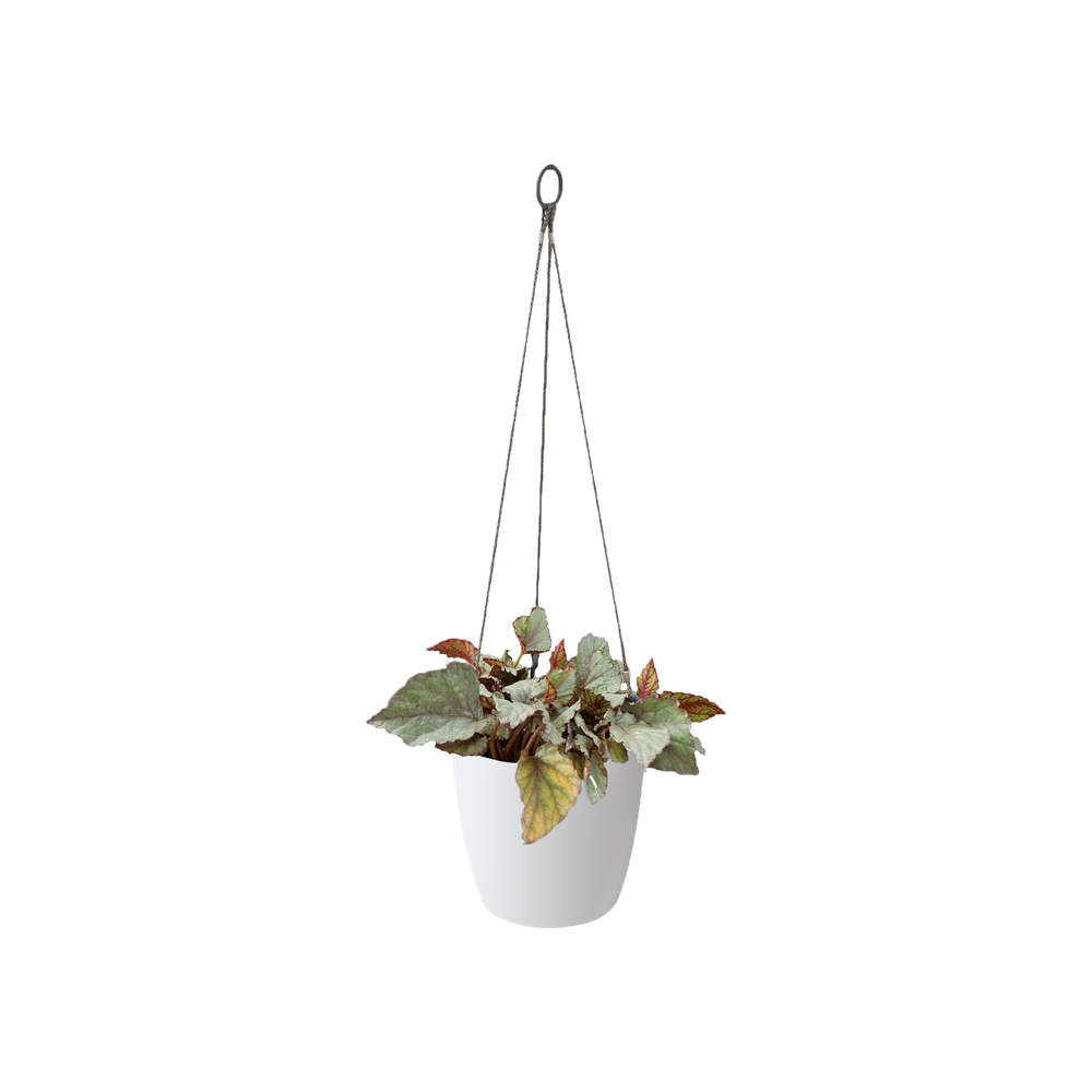 Elho Brussels Hangschaal 18cm Wit