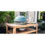 Big Green Egg XL