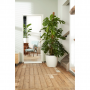 Elho Brussels Rond Wielen 35cm Wit