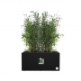 Elho Plantenbak Vivo Next Lang 80 Zwart