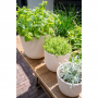 Capi Europe Pot bol Groove zaagsel beige