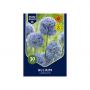 Pure Bulbs Allium Caeruleum 30 bollen