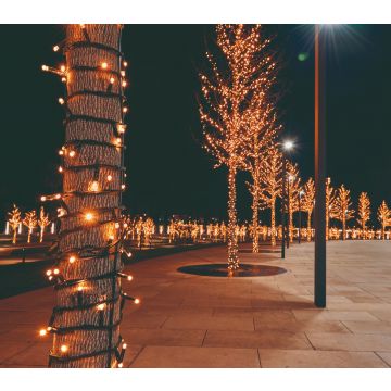 Anna's Collection Connect de luxe Koppelverlichting 10 m 100 lampjes