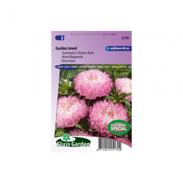 Callistephus chin. Garden Jewel Rose
