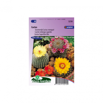 Cacti Special Mixture