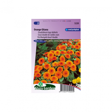 Calendula off. fl. plena Orange Gitana